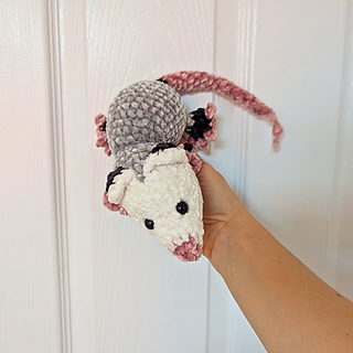 Simon the Opossum