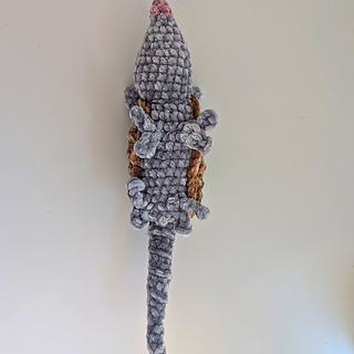 Olivio the Armadillo