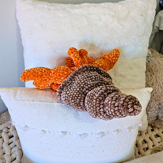 Ernest the Hermit Crab