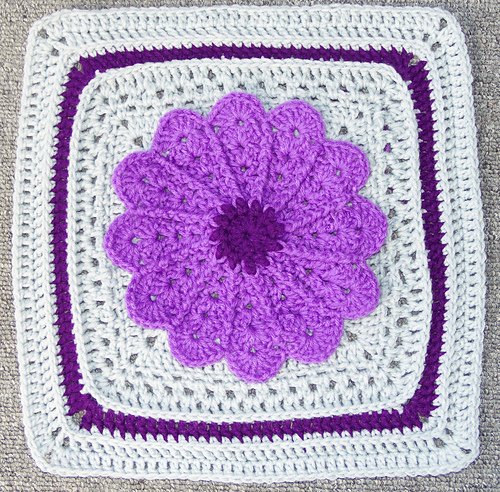 Pane in my Dahlia photo 6