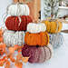 Chunky Harvest Pumpkin pattern 