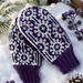 Winter Bloom Mittens pattern