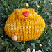 BEE In My Heart! ♥ photo 4