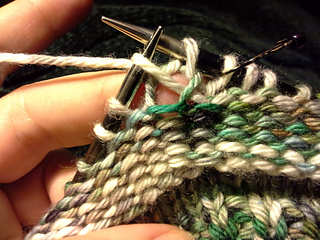 Pull up a loop in the stitch below.