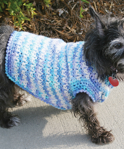 Crochet Dog Sweater photo 1