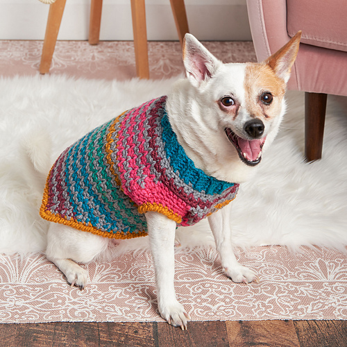Crochet Dog Sweater photo 2