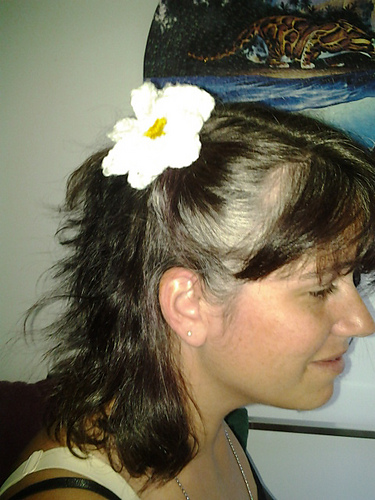 Daisy Flower & Clip photo 3