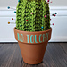 Cactus Pincushion pattern