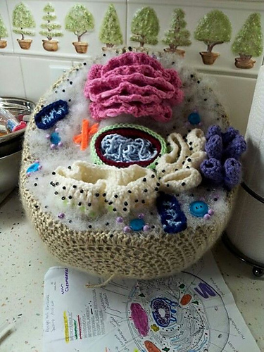 Hyperbolic Crochet Motifs (Coral Reef) - mnashawati