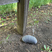 Pod of Isopods pattern 