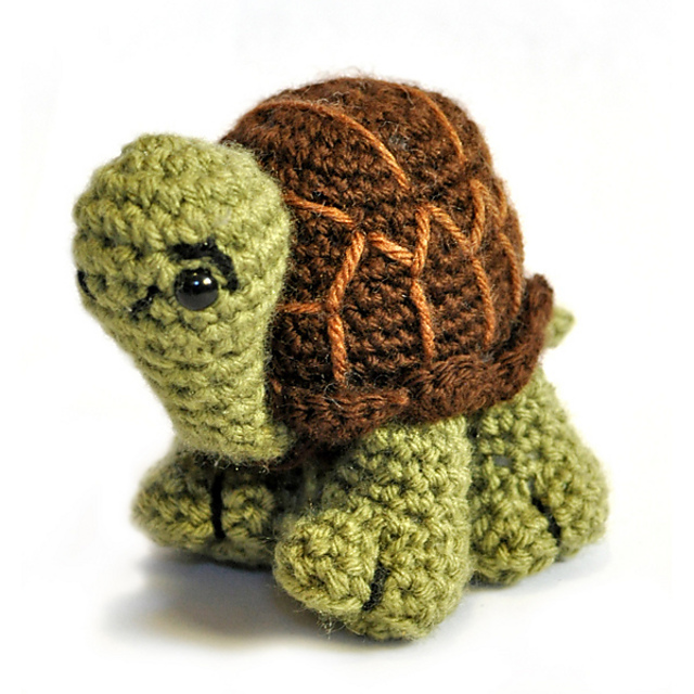 Turtle / Tortoise