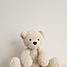 Bera Bear pattern 
