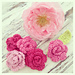 May Roses photo 4
