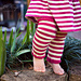 Legwarmies photo 4