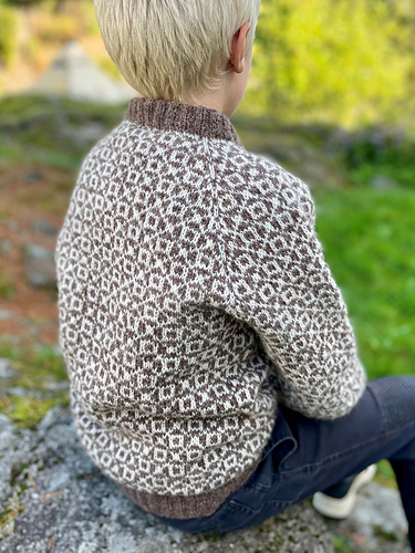 Storebror Genser adulte - Marita Thuve