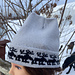 Moose Beanie Hat Toque pattern 