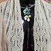 Garden at Nighttime Lace Scarf pattern 