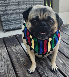 Cinco de Mayo Pet Bandana pattern