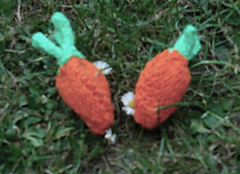 carrots