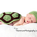 Turtle Photo Prop pattern 
