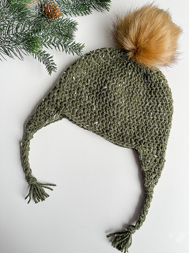 DC All Day Ear Flap Beanie
