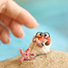 Tiny Crab Baby pattern 