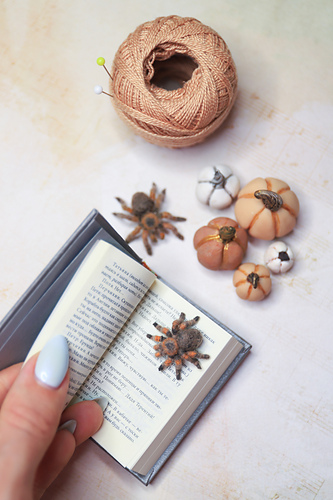 Miniatyr Tarantula - Anastasia Sarkisian