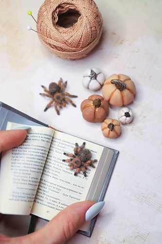 Miniatyr Tarantula - Anastasia Sarkisian