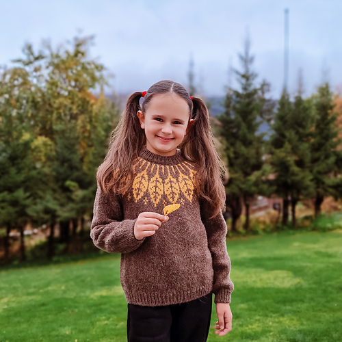 Ravelry: Forest sweater Junior pattern by Daria Nekrasovas