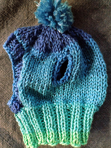 Suhri's Dog Hat photo 4