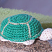 green turtle photo 2