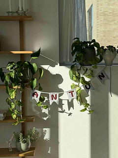 Anton = Danish name for boys