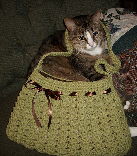 Nordstrom Hobo Bag photo 3