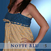 Notte Blu photo 3