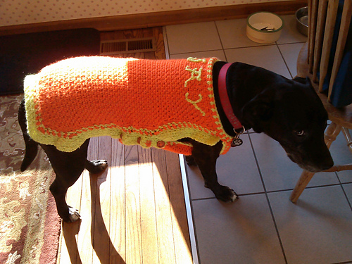 Flashy Dog Sweater photo 5
