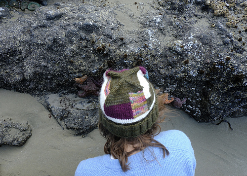 Four Peaks Hat