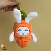 Carrot Bunny pattern 
