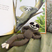Stevie Sloth photo 3