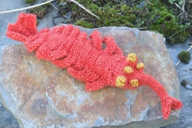 CTK005 PaleoKnits Opabinia