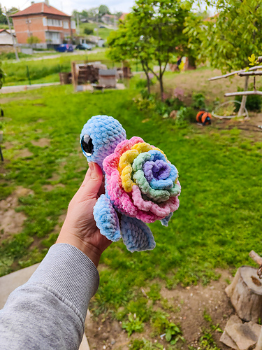 Rainbow Flower Turtle photo 3
