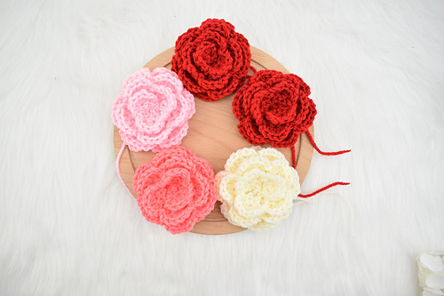 Camellia flower photo 2
