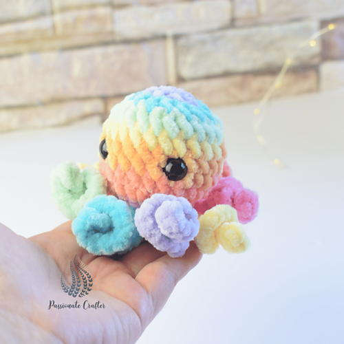 Mini Octopus photo 3