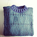 201 - Pull pour homme pattern 