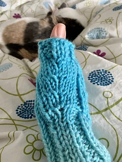 Thumb detail