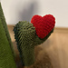 My little heart pattern 