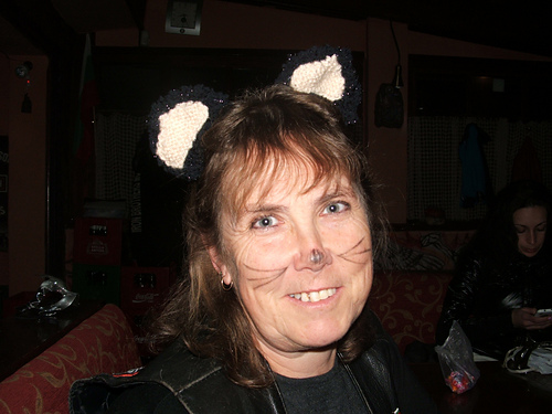 Ariana Grande Katteører - petgal