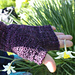 Sapient Mitts pattern 