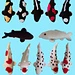 Koi Fish Collection pattern 