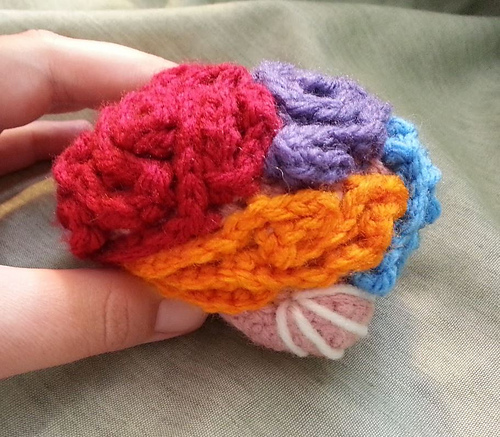 Menneskelig hjerne lobemodell - Erica McBride