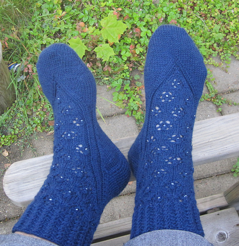 Blueberry Socks photo 1